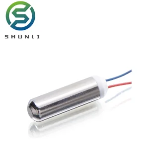 Micro Vibration DC Mini Motor