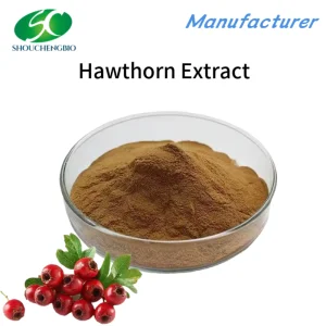 High Quality Hawthorn Extract Hawthorn Extract Powder