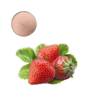 Wholesale Strawberry Juice Powder