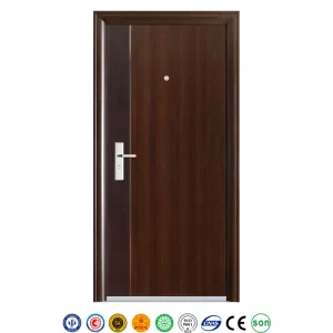 Steel Security Door