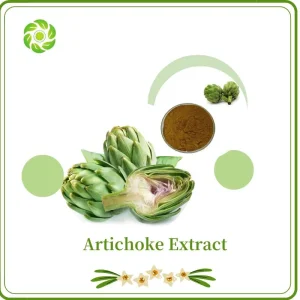 Cosméticos de Bem-Estar Mundial, Químico, Perda de Peso, Vitamina, Alimento Saudável, Aditivo Alimentar, Cinarina 2% 2.5%/Chlorogenic Acid2.5%/Cynarine 4: 1/Artichoke Extrato