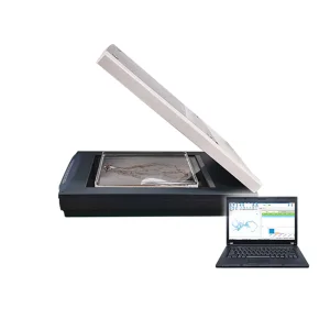 Professional Intelligence Plant Root Phenotype Analysis System