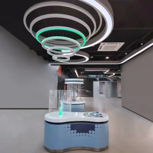 Interactive Science Angel Ring