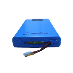24V 10Ah LiFePO4 Battery Pack