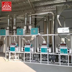 380V 220V Fully Automatic Maize Milling Machine Industrial Flour Mill Barley Wheat Flour Mill Machine (10tpd, 20tpd, 30tpd, 40tpd, 60tpd)