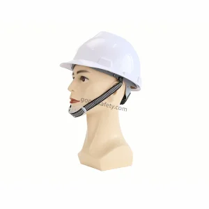 OEM Safety Helmet Taean