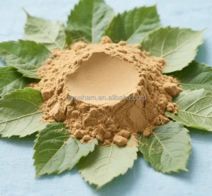 Kosher Certified 0.5% DNJ Mulberry Leaf Extract