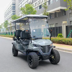 6-Seater Electric Utility Vehicle 48V Battery Powered Golf Cart with Solar Panel Steel Material EEC Certified