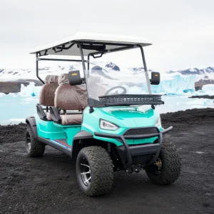 Carrinho Novo 4-Wheel