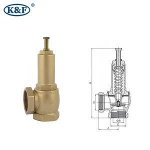 Brass Safety Valve Sample
