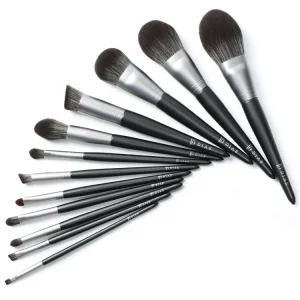 12Pcs High Quality Eco Ever Beauty Custom Logo Professional