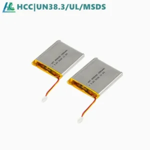 Polymer Battery
