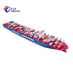 Sea Shipment Drop Freight Charter Bulk Carrier