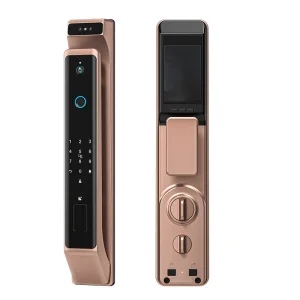 Sliding Door Electric Fingerprint Smart Lock