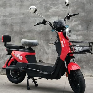 Reliable Oversized E-Bike for Daily Commuting and Heavy Cargo Transport Needs