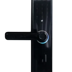 Remote Control Electronic Fingerprint Password Digital Electronic Keyless Lock Smart Office Hotel Door Lock