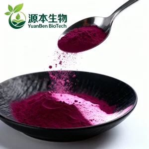 High-quality 100% Natural Top-quality Beetroot Extract