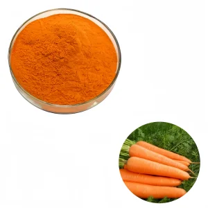 Food Grade Organic Carrot Juice Powder Orange Herbal Extract