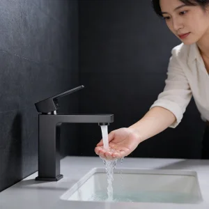 Single Lever Brass Sink