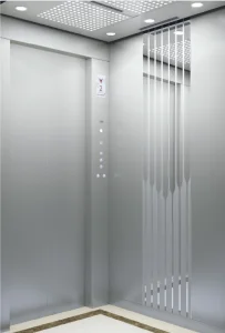 Passenger Residential Mrl with Traction Machine Elevator