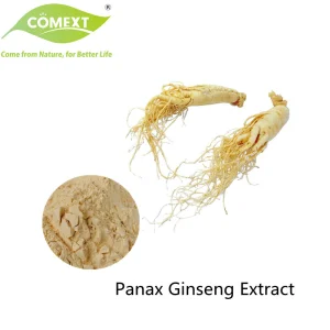 Extrato de Panax Ginseng Comext 4%~80% Ginsenosídeo