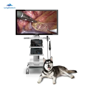 Veterinary Endoscope Gastrointestinal Endoscopy Veterinary 4K Rigid Endoscopy System