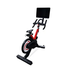 New Style Wnq 21.5 Inch Spinning Exercise Bike