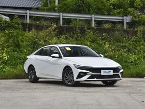 Hyundai Elantra Solution