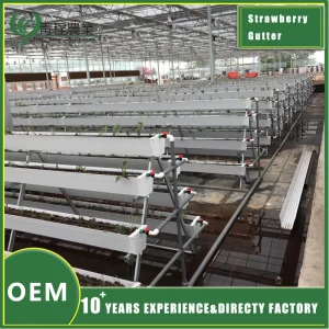 Strawberry Growing Pot