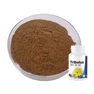 Tribulus Terrestris Extract Powder