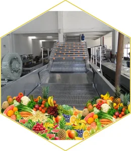 Spray Washers/Fruits and Vegetables Cleaning System
