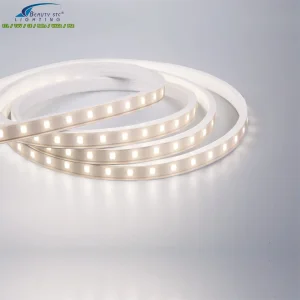 The Brightest Tunnel LED Strip Lighting with High Efficiency and Warm White