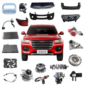 Haval Tank Poer Parts