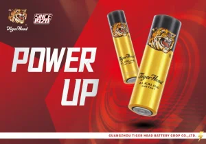 AA Alkaline Battery