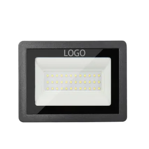 Fast Shipping Aluminum Lamp Body IP66 Waterproof Outdoor 30W Led Flood Light With Smd Chip