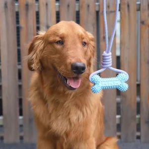 Interactive High Quality Durable Pet Bone Shaped Rubber Chew Dog Toy
