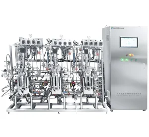 Parallel Stainless Steel Fermenter System