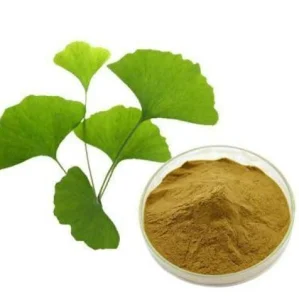 Ginkgo Biloba Extract