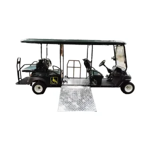 WELIFTRICH Handicapped Wheelchair Electric Golf Cart 72V 5-6 Seats 70-90km Range 10 Grade Ability