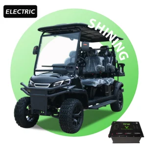 Shininglsv 6 Seater Golf Carts Electric Golf Buggy 6-seater Personal Transport Vehicle Golf Cart