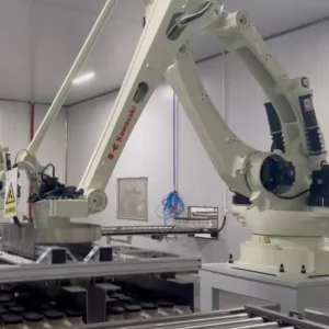 High Payload Servo Controlled Programmable 4axis Automatic Industrial Pallet Depalletizing Robot with Vision Guided Low Maintenance/User Friendly.