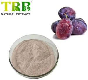 China Plum Juice Powder
