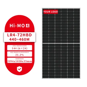 Longi Bifacial Panels