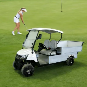 JG Off-Road 4-Stroke Gasoline Golf Cart 2-Seater Front Disc Brakes CE Certification 150-200mm Minimum Ground Clearance for