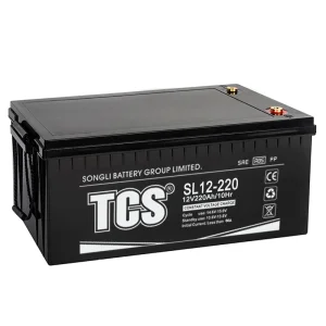 SL12-220 Solar Battery