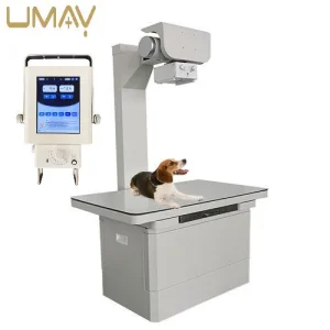 Reliable Veterinary Pet X Ray Machine with Advanced Imaging Technology