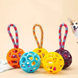 Durable Chew Proof Hollow Pet Toys Squeaky Ball Interactive Training Toys