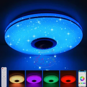 Music LED Ceiling Lamp