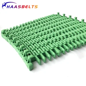 Haasbelts Plastic Conveyor Chain Is615