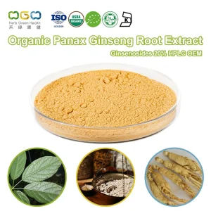 Extrato de Raiz de Panax Ginseng